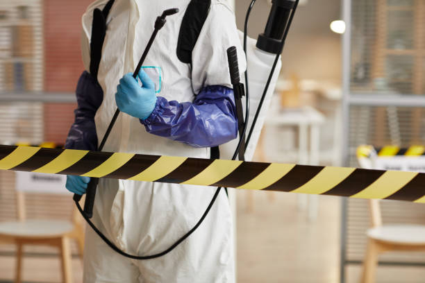 Professional Sewage Cleanup technician working in Carr, CO